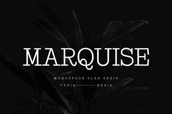 Download Marquise - Premium Resources